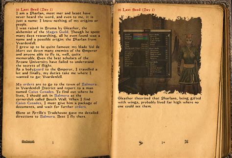 Morrowind: a journal adventure .